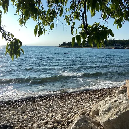 Apartment Beachfront Spina